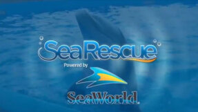 SeaWorld® "Sea Rescue™" on ABC
